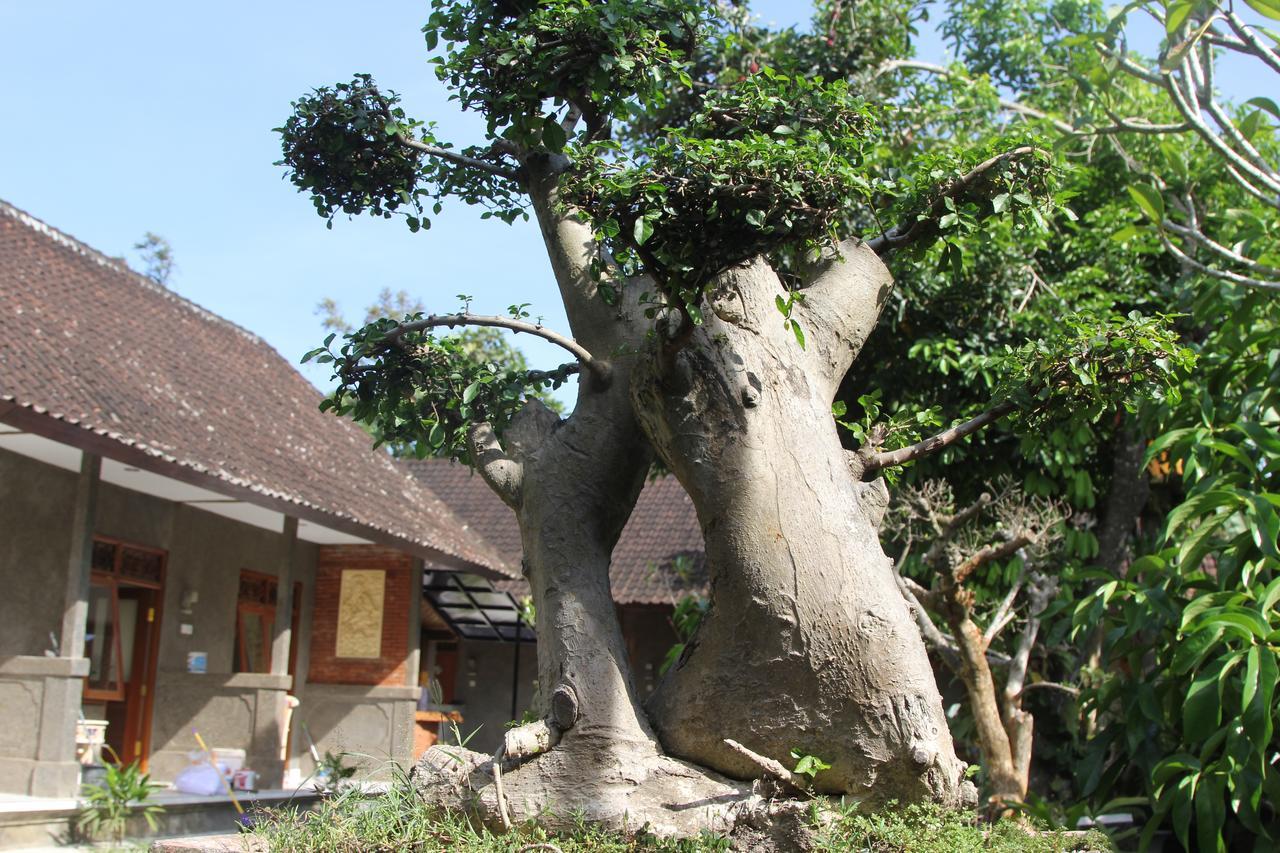 מלון אובוד Jerogadung House מראה חיצוני תמונה